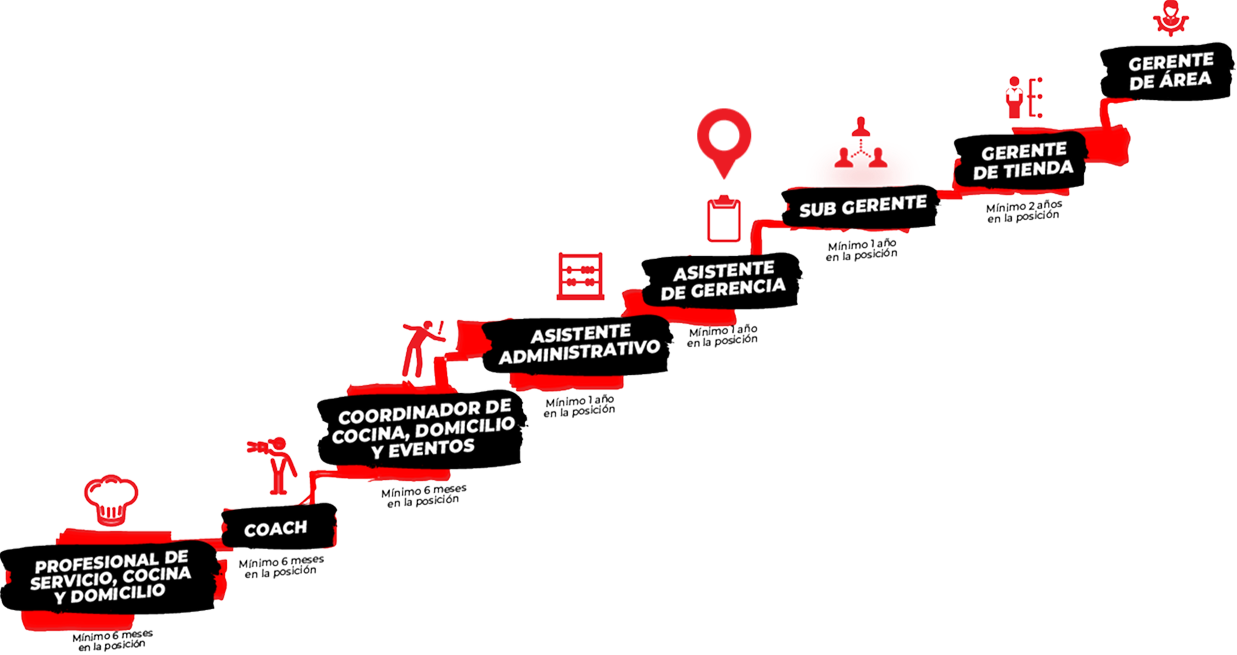 Organigrama de carrera profesional