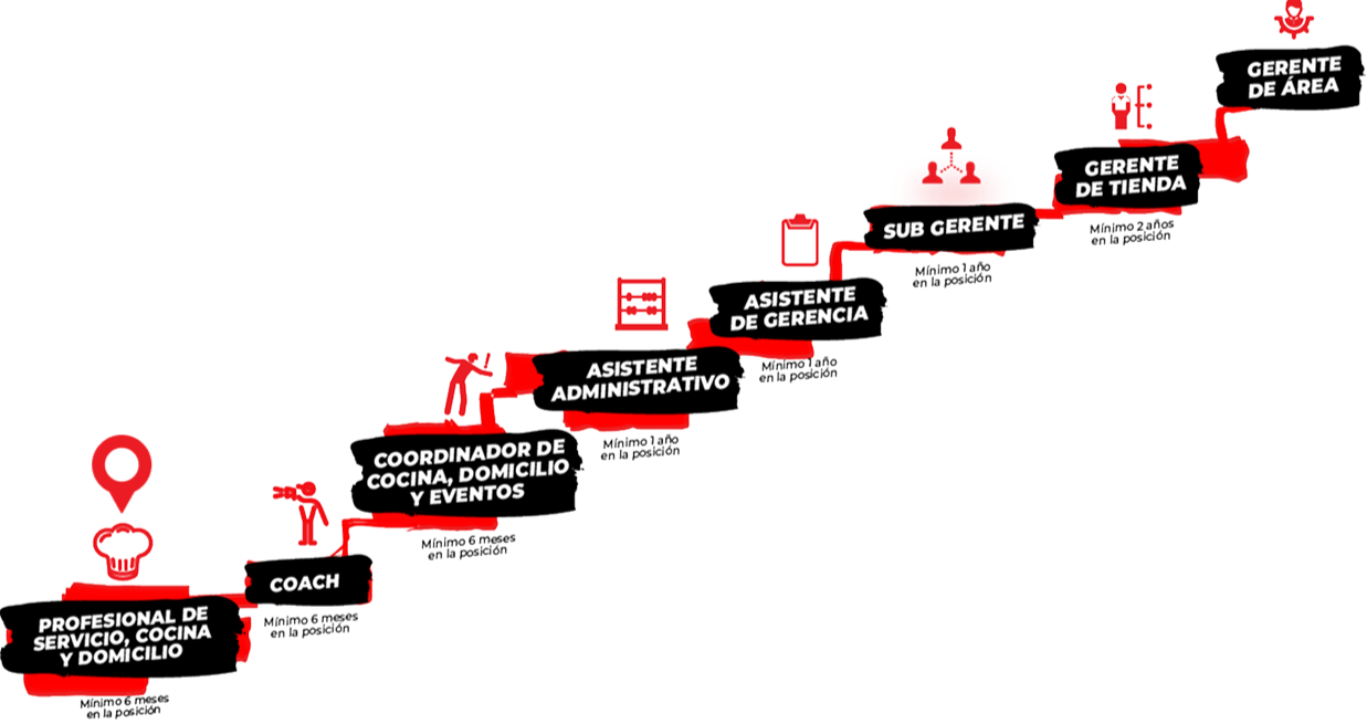 Organigrama de carrera profesional